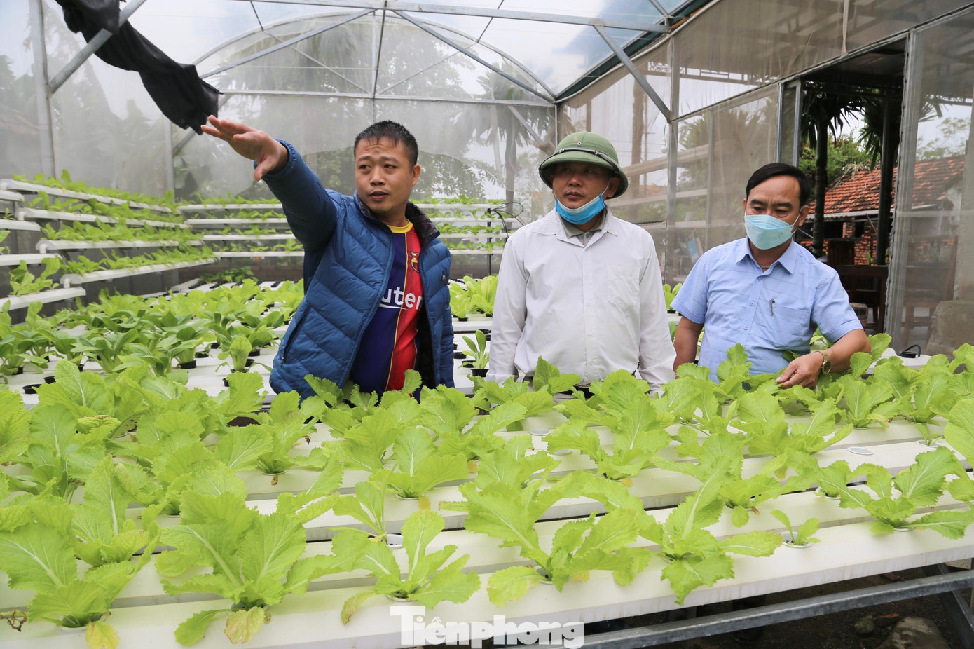 Mô hình trồng rau thủy canh của anh Vương