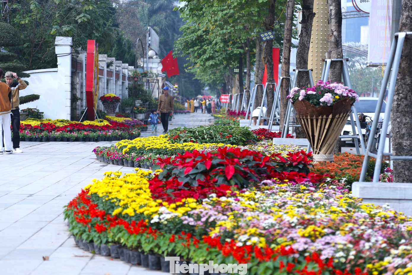 Thời điểm này, công tác chỉnh trang đô thị, trang trí các tiểu cảnh trong không gian hoa Xuân tại TP Vinh (Nghệ An) đã hoàn thiện để phục vụ người dân và du khách vui Tết. Nổi bật trong đó là con đường hoa Hồ Tùng Mậu với ngập tràn sắc hoa rực rỡ.