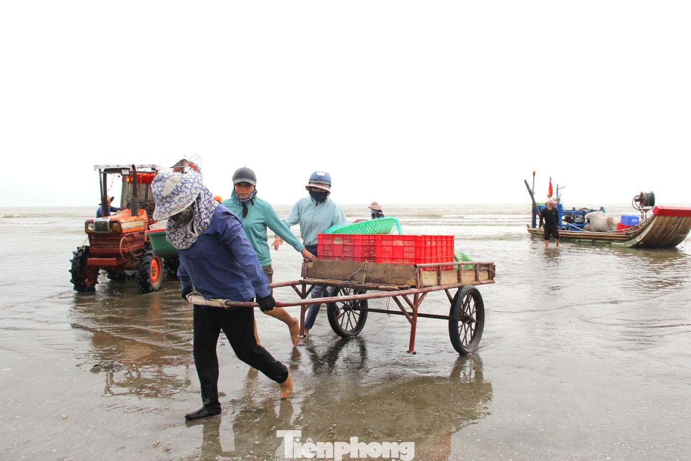 Những ngày này, tranh thủ thời tiết thuận lợi, ngư dân các xã bãi ngang huyện Diễn Châu (Nghệ An) hối hả vươn khơi đón “lộc biển” đầu năm. Những ngày này, tranh thủ thời tiết thuận lợi, ngư dân các xã bãi ngang huyện Diễn Châu (Nghệ An) hối hả vươn khơi đón “lộc biển” đầu năm.