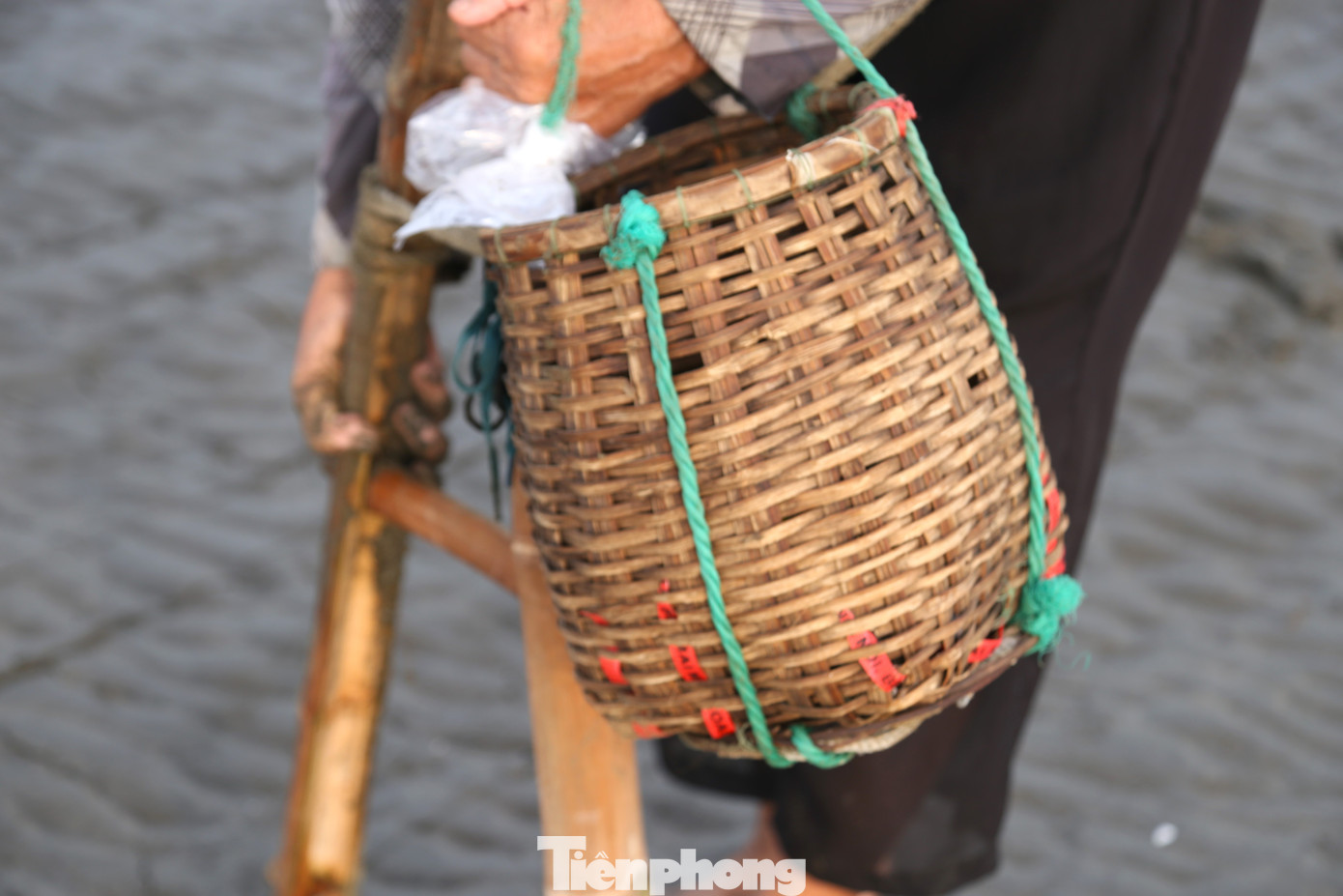 Đồ nghề rất đơn giản, chỉ cần một cán tre dài khoảng 2m, dùng đai gỗ buộc vào hông người dễ dàng kéo nạo về phía sau khi đi giật lùi; một lưỡi sắt dùng để nạo ngao và chiếc giỏ tre đựng ngao.