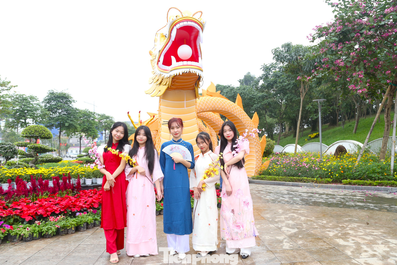 Để dựng linh vật rồng này, các công nhân Công ty cổ phần Công viên cây xanh TP Vinh đã làm việc liên tục từ tối 4/2 đến 2 giờ sáng ngày 5/2 mới hoàn thành, bao gồm nhiều công đoạn vận chuyển, dựng hình, lắp đèn trang trí,…