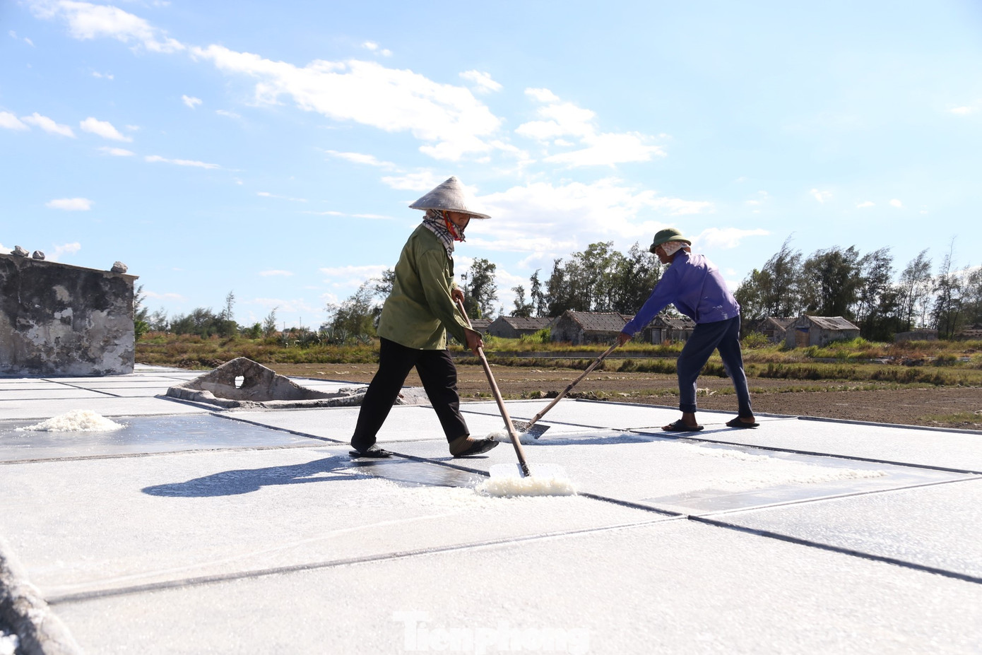 Muối kết tinh, thời điểm này, diêm dân hối hả bắt tay vào công đoạn thu hoạch.