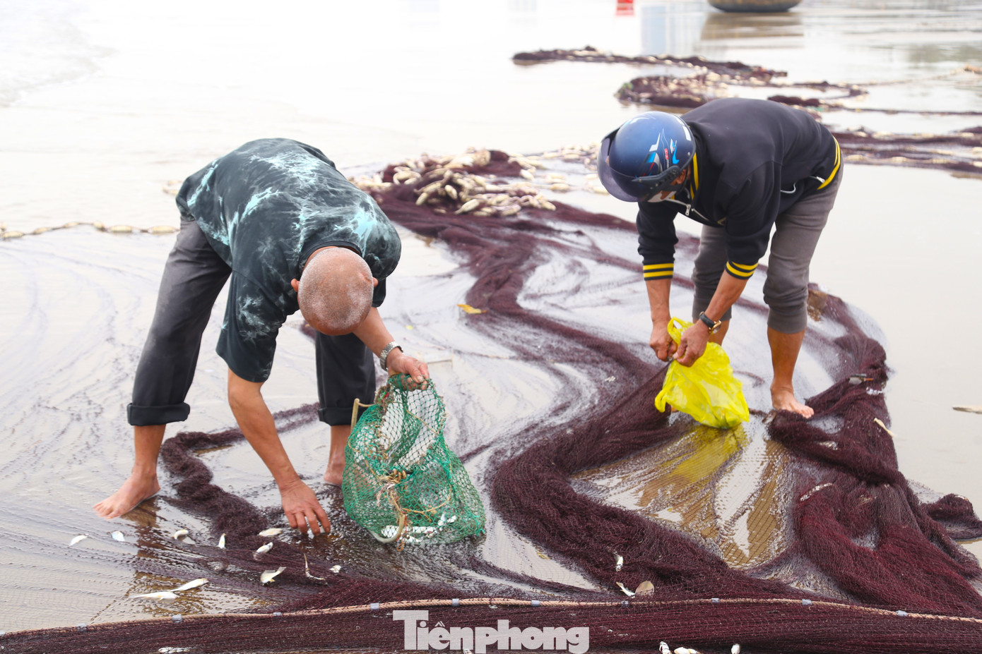 Người dân gỡ những con cá còn mắc trong lưới.