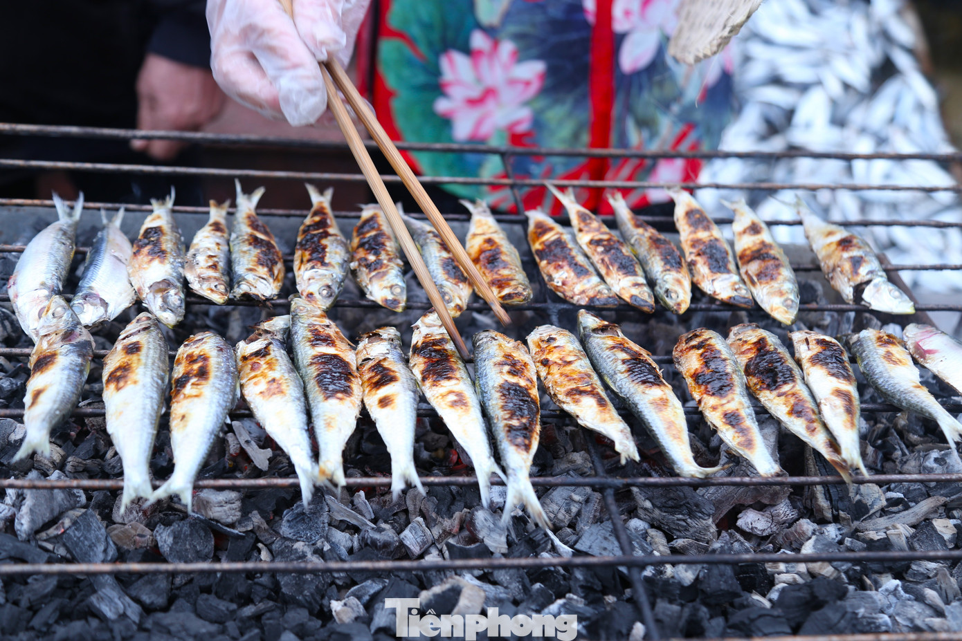 Những con cá trích được nướng trên bếp than hồng béo ngậy, thơm ngon