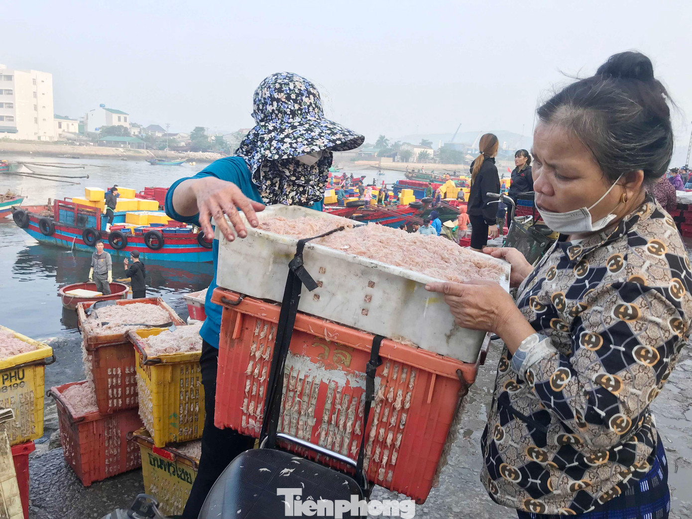 So với nhiều vùng biển khác, con ruốc Cửa Lò nhiều thịt, mỏng vỏ, thơm, ngon hơn… Ruốc biển được chế biến thành nhiều món ngon như: Ruốc tươi phui lá chanh; ruốc tươi xào khế; mắm ruốc…