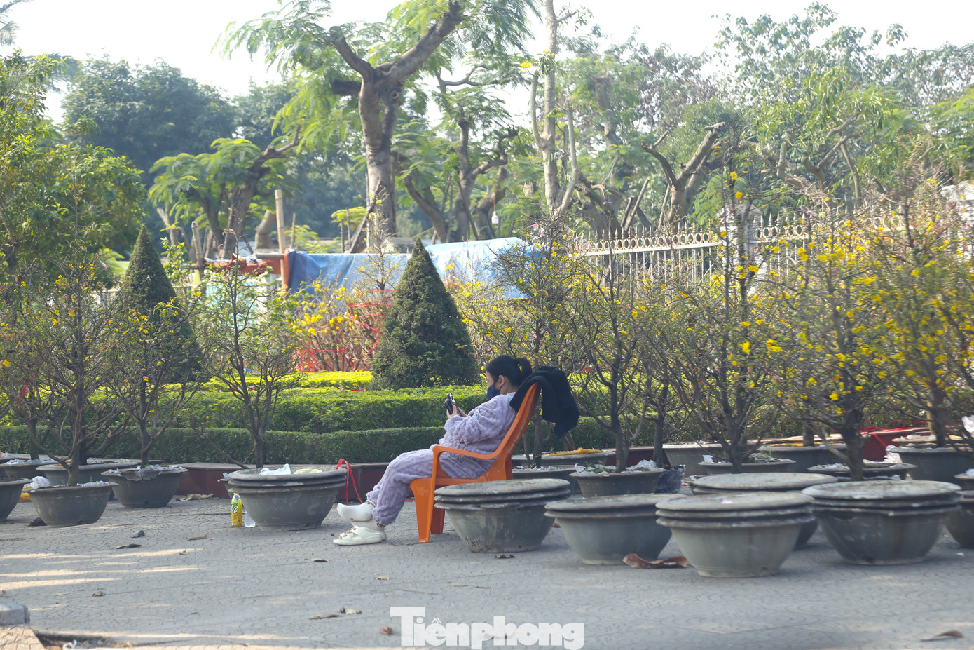 Vắng khách, tiểu thương ngồi lướt điện thoại.