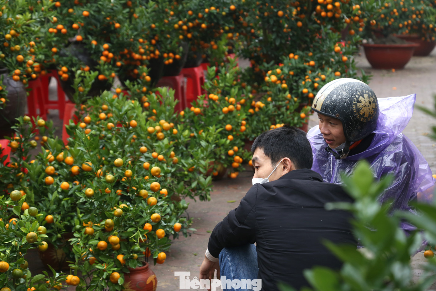 Tết Nguyên đán là dịp mua bán sôi động nhất năm nhưng nhiều tiểu thương như “ngồi trên đống lửa” khi hoa, cây cảnh còn nhiều lại vắng bóng khách mua.