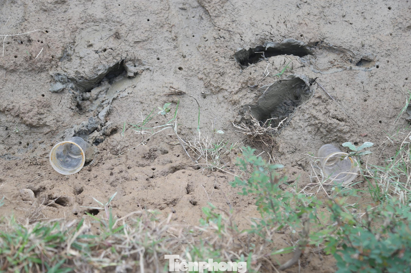 So với cách săn thủ công như chụp hay câu, vợt, săn cáy bằng cốc nhựa hiệu quả và năng suất cao hơn. So với cách săn thủ công như chụp hay câu, vợt, săn cáy bằng cốc nhựa hiệu quả và năng suất cao hơn.