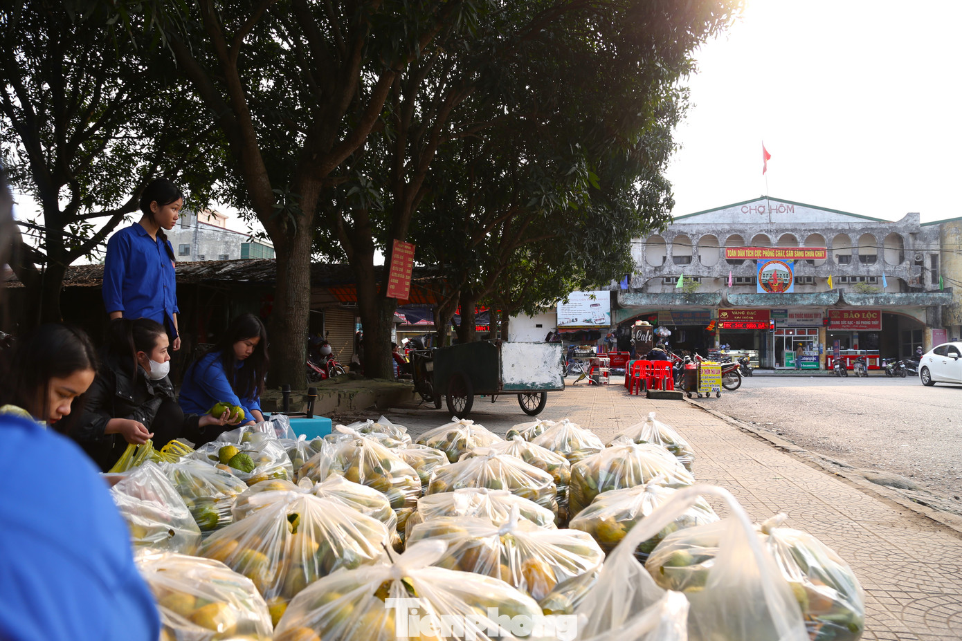 Hai ngày qua, một gian hàng tạm trước cổng chợ Hôm (phường Nghi Thủy, thành phố Vinh, tỉnh Nghệ An) đã được các đoàn viên thanh niên mở ra để bán quýt PQ (còn gọi là cam bóc Phủ Quỳ) giúp bà con nông dân. Ảnh: Thu Hiền