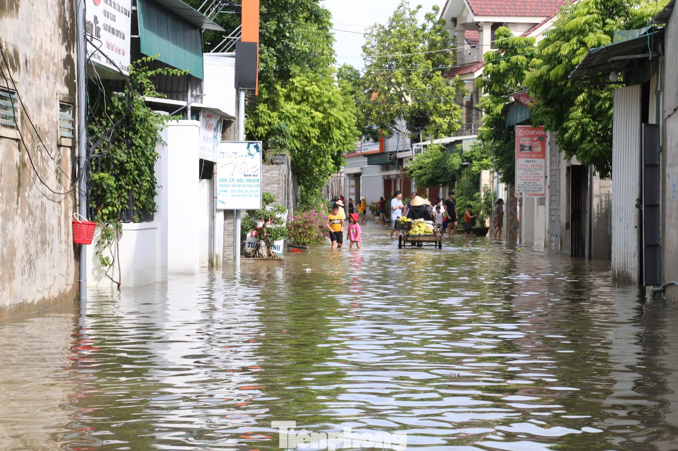 Ngày 27/9, hơn 3.000 hộ dân ở huyện Quỳnh Lưu (tỉnh Nghệ An) vẫn chìm trong "biển nước". Mực nước lũ sâu từ 0,3 - 1,2 m.