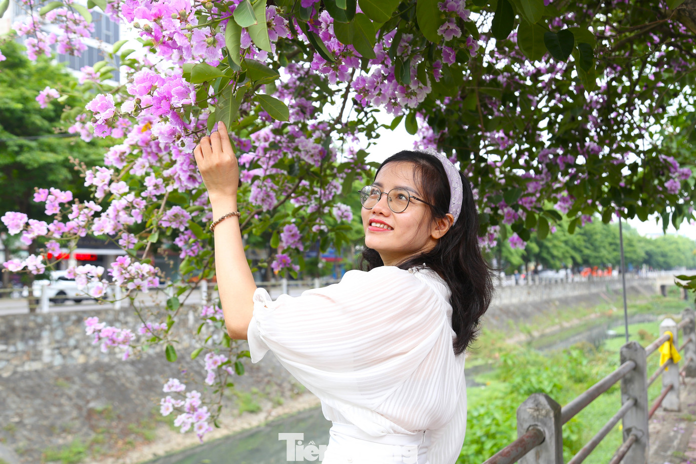 Con đường hoa bằng lăng trở thành địa điểm thu hút các bạn trẻ đến tạo dáng, chụp ảnh.