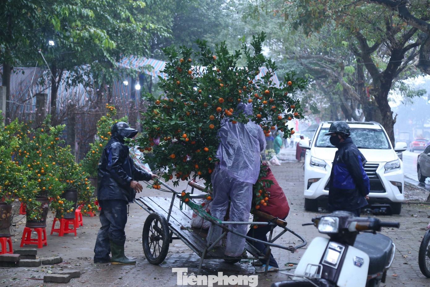 Anh Nguyễn Văn Thanh (38 tuổi) cho biết, thường ngày anh làm nghề xe lai, nhưng những ngày cận Tết, thấy nhu cầu của người dân chở thuê đào quất tăng cao, anh quyết định chạy xe ra khu vực chợ hoa Tết để làm dịch vụ.
