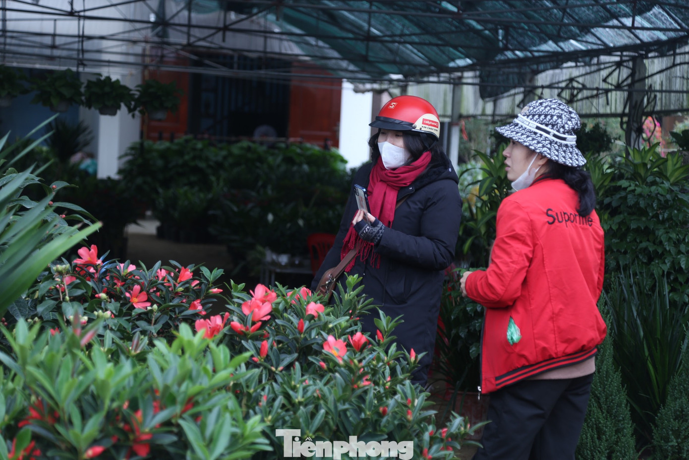 Người dân tranh thủ ngày nghỉ đi lựa chọn những chậu hoa ưng ý.