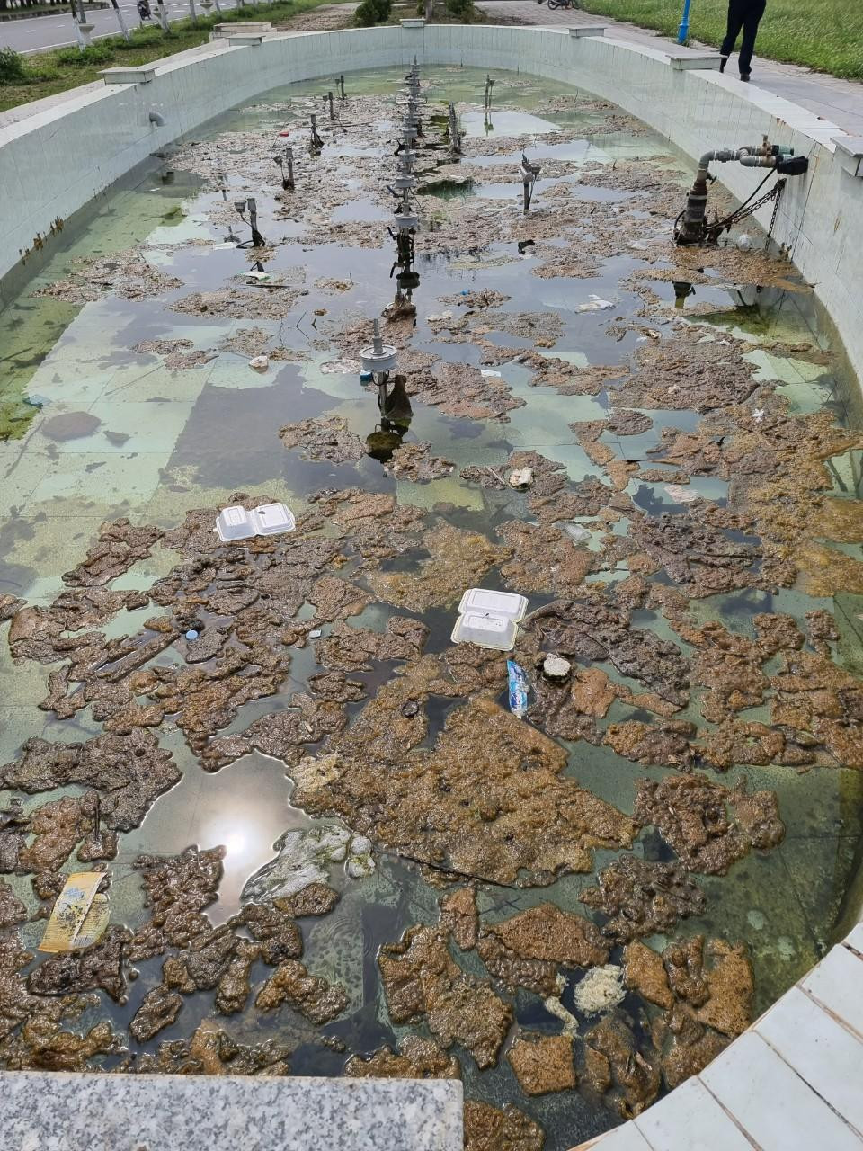 Đài phun nước ngập rác, rêu mốc Đài phun nước ngập rác, rêu mốc