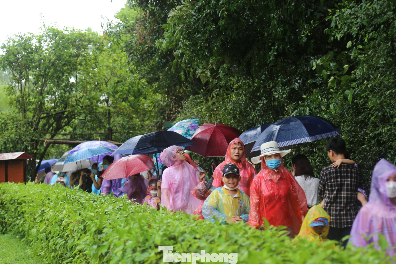 Dòng người xúc động trong ngày về thăm quê Bác