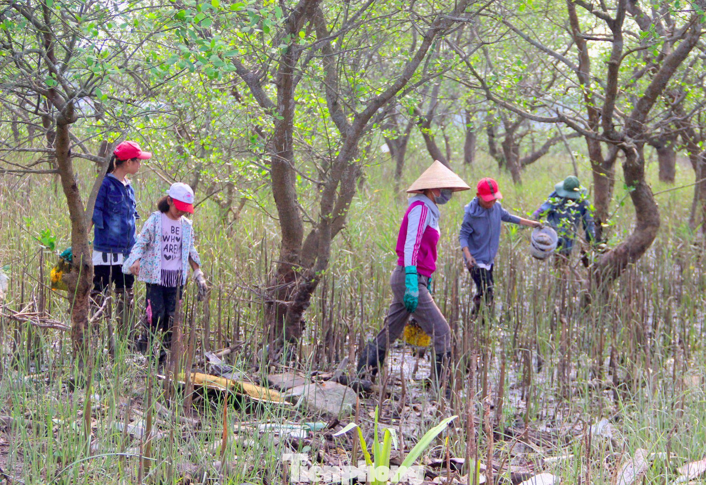 Tranh thủ thời gian nghỉ học, những đứa trẻ thành phố Vinh đi săn cáy. Đặc thù của con cáy là trời nắng càng to thì cáy bò ra tìm thức ăn càng nhiều...