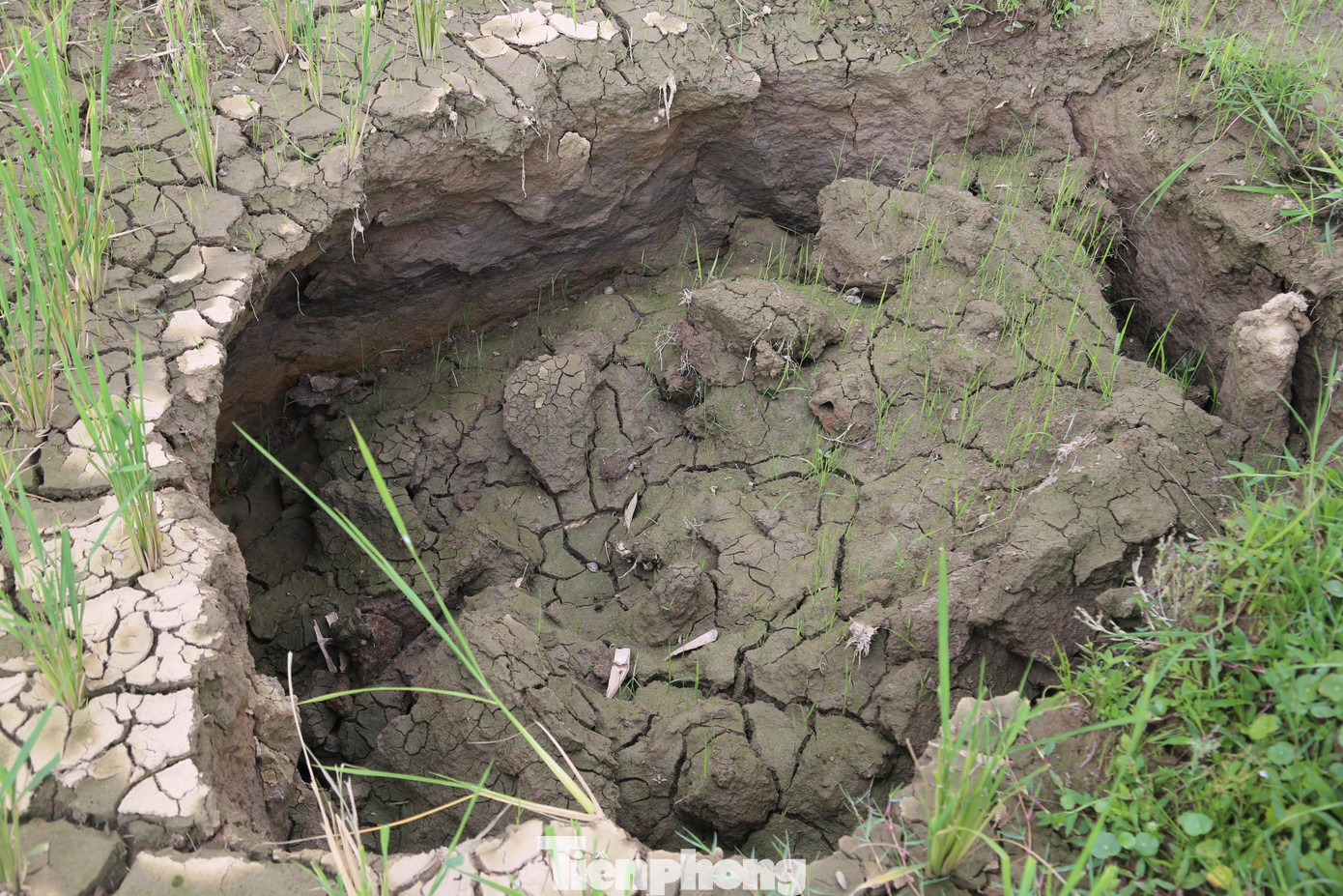 Sụt lún tại cánh đồng bản Na Hiêng Sụt lún tại cánh đồng bản Na Hiêng