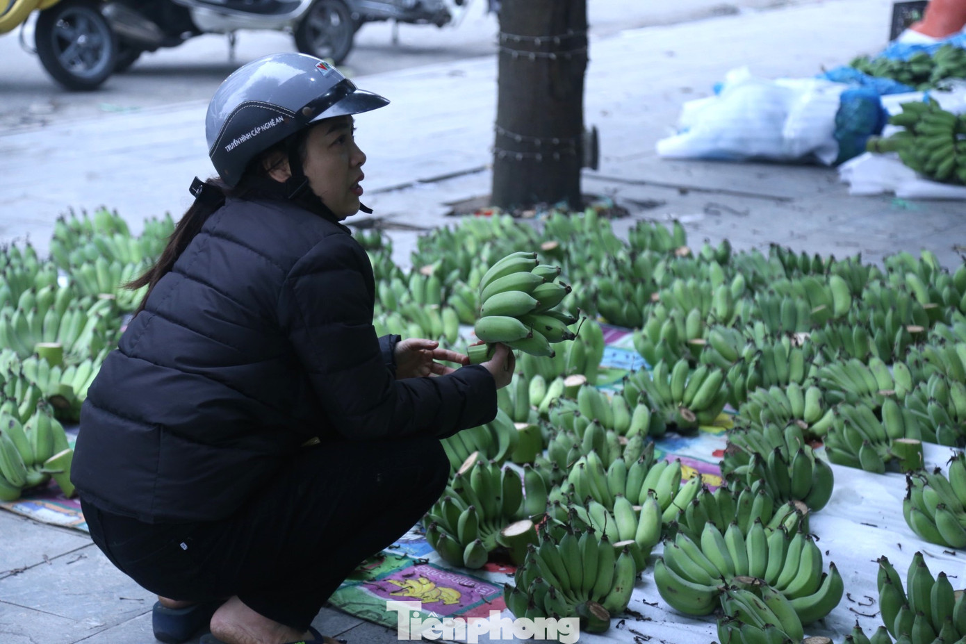 Giá chuối xanh tăng gấp 5-7 lần ngày thường vẫn hút khách Giá chuối xanh tăng gấp 5-7 lần ngày thường vẫn hút khách