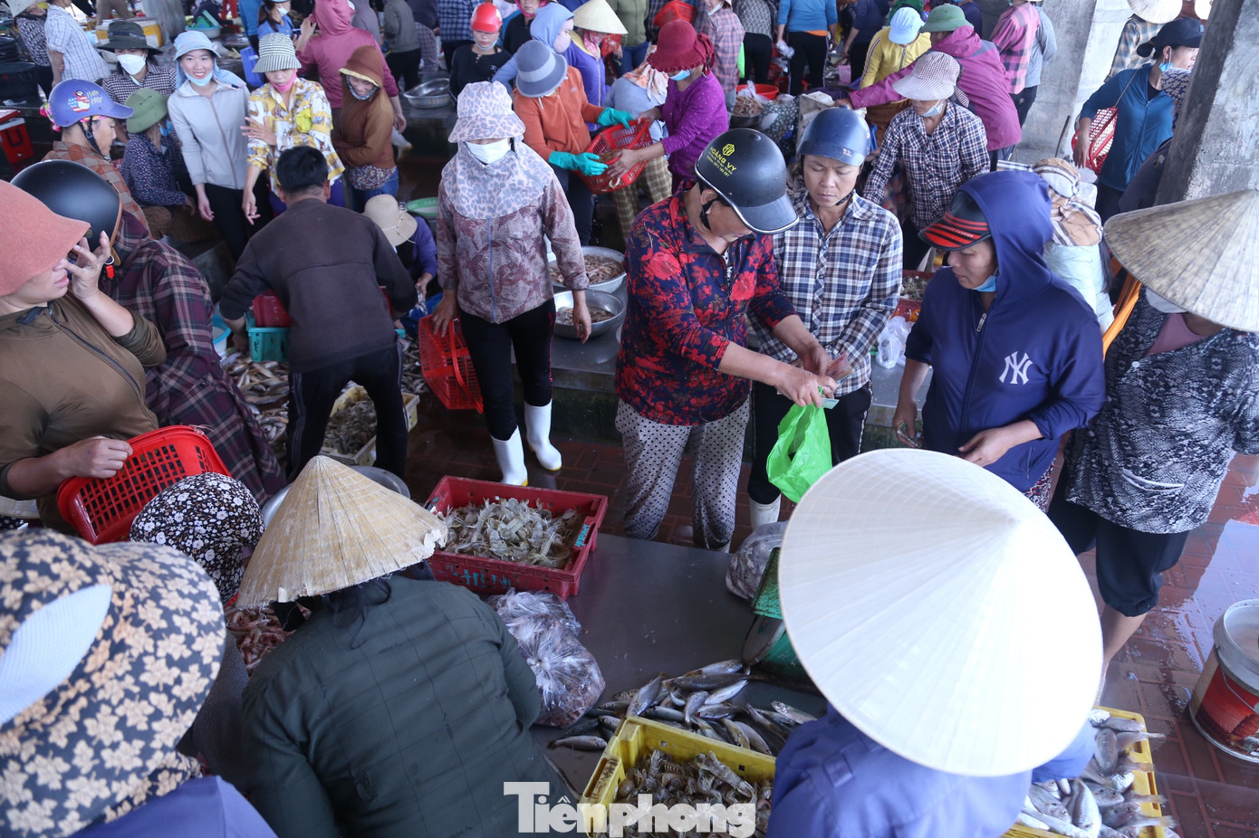 Do hoạt động gần bờ, thời gian đánh bắt trong đêm, hải sản tươi nguyên nên vừa cập bến là "cháy hàng". Do hoạt động gần bờ, thời gian đánh bắt trong đêm, hải sản tươi nguyên nên vừa cập bến là "cháy hàng".