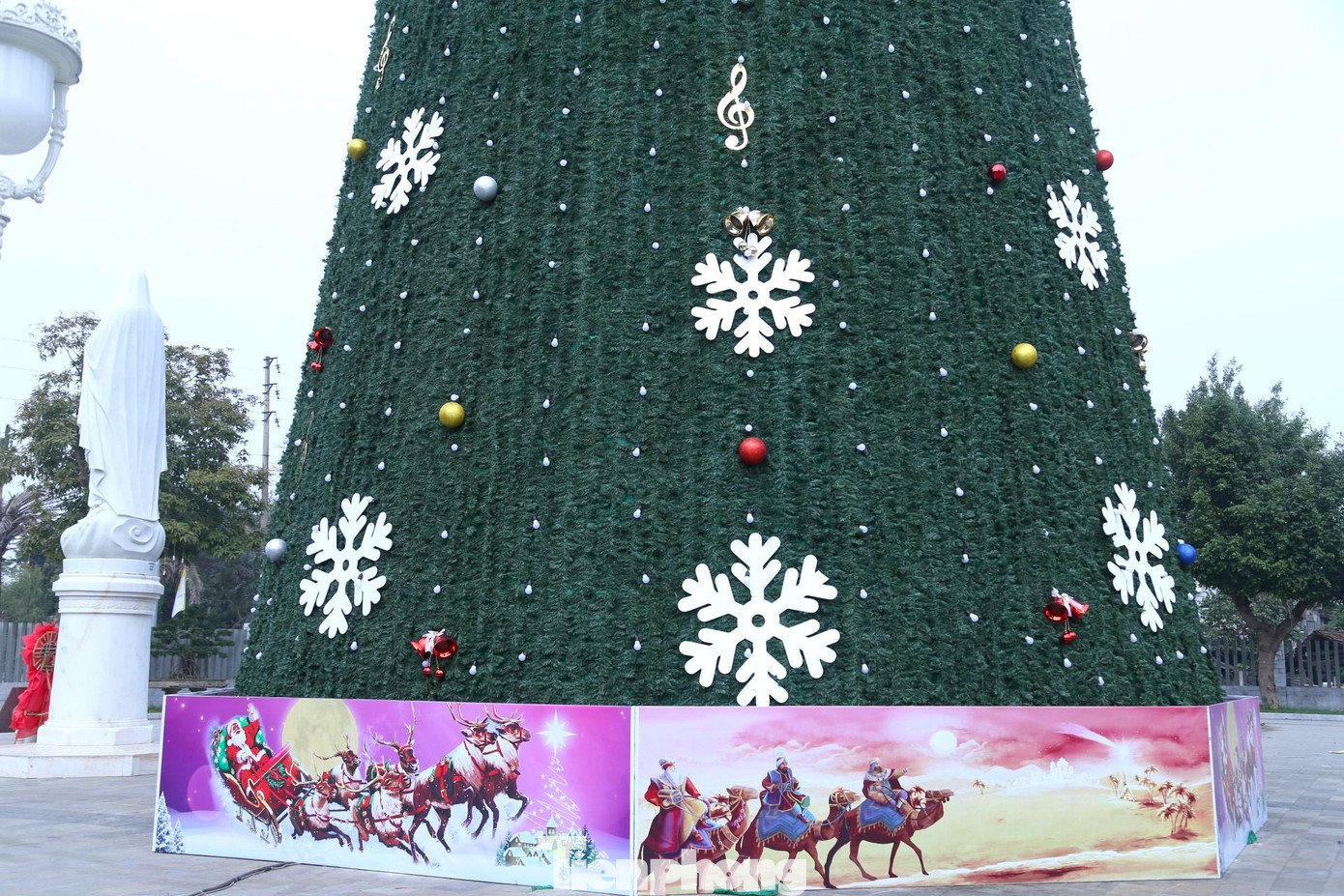 Phần đế cây thông được dựng rất chắc chắn Phần đế cây thông được dựng rất chắc chắn