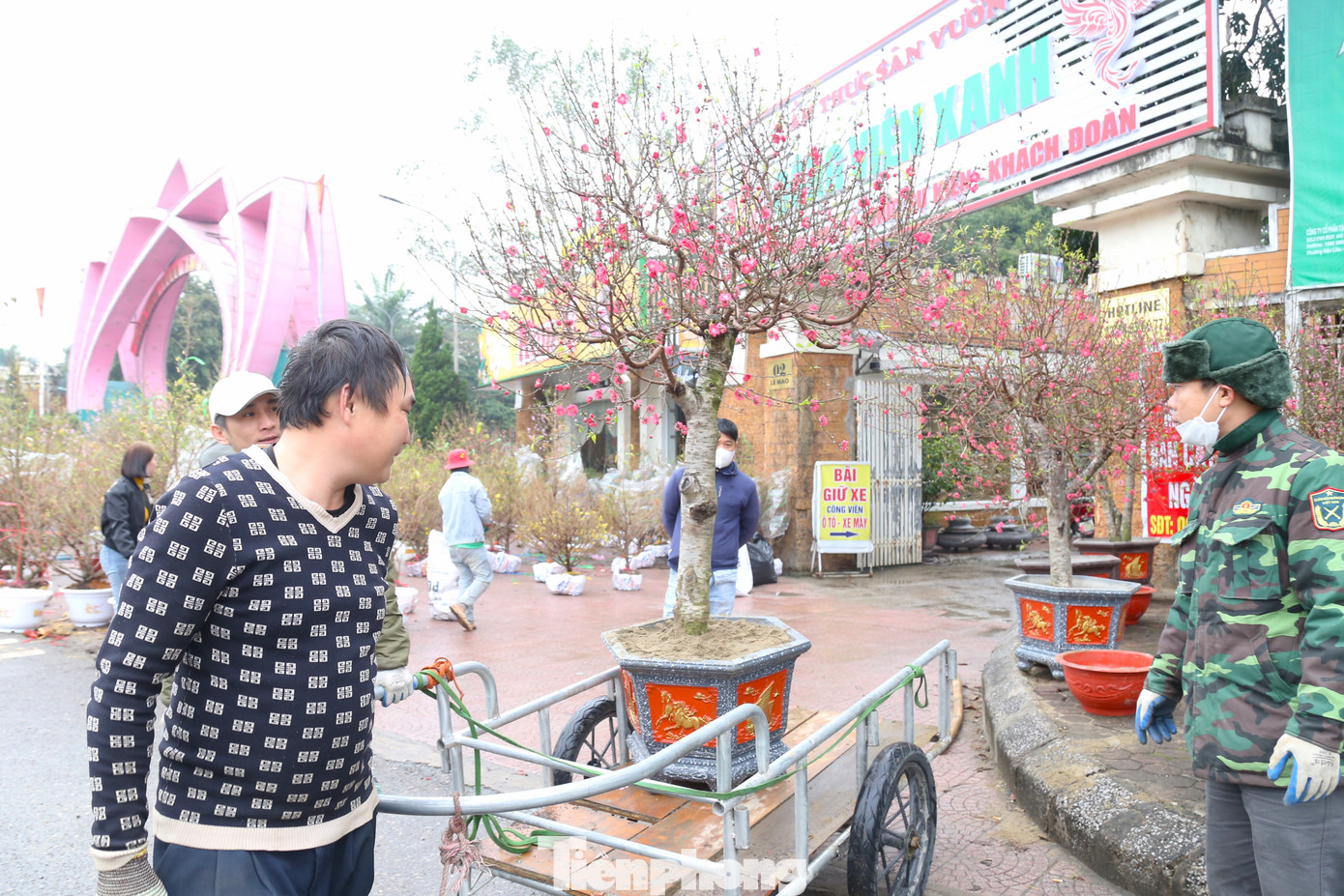 Thông thường, cây quất, đào đều có kích thước lớn, phải những người “thạo nghề” mới dễ dàng vận chuyển. Nắm bắt xu hướng này, nhiều tài xế xe ôm tranh thủ làm thêm dịch vụ chuyên chở.