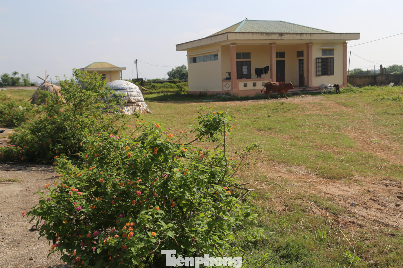 Ông Nguyễn Văn Khanh - Chủ tịch UBND xã Quỳnh Thọ chia sẻ: "Dự án này bỏ hoang đến nay đã 11 năm, nguyên nhân là do thiếu vốn. Hiện nay, tất cả các hạng mục xuống cấp trầm trọng và không còn phù hợp. Vừa qua xã cũng đã thành lập đoàn đi khảo sát, đánh giá lại thực trạng, tuy nhiên tính khả thi rất khó”.