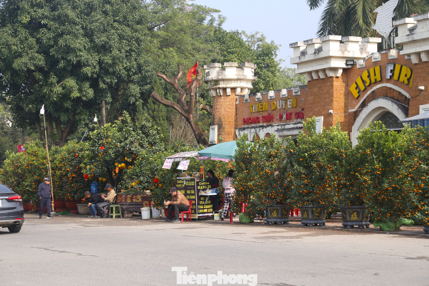 Từ giữa tháng Chạp (tháng 12 âm lịch), các tiểu thương đã bắt đầu bày bán những cành đào, chậu quất, mai vàng... khắp các tuyến phố TP. Vinh để phục vụ nhu cầu chơi Tết của người dân. Ghi nhận ngày 21/1 (tức 22 Tết) tại các điểm bán hoa, cây cảnh Tết ở TP Vinh không khí mua sắm khá ảm đạm, người mua chủ yếu đến tham quan, chụp ảnh.