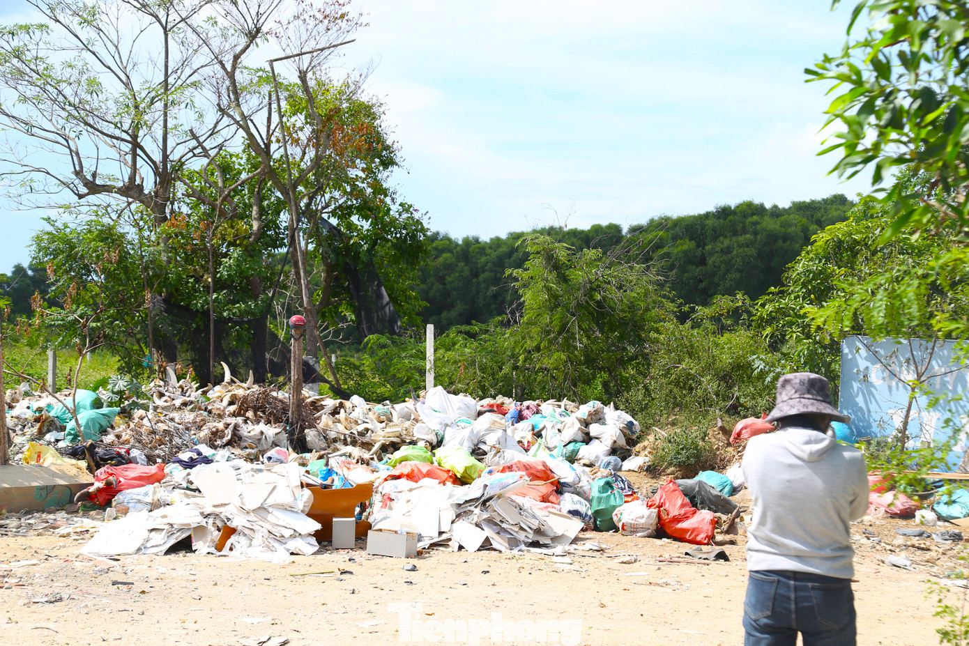 Ông Chu Văn Mai - Chủ tịch UBND xã Nghi Ân cho biết, khu vực đổ phế phẩm động vật ô nhiễm này thuộc địa phận phường Nghi Phú.