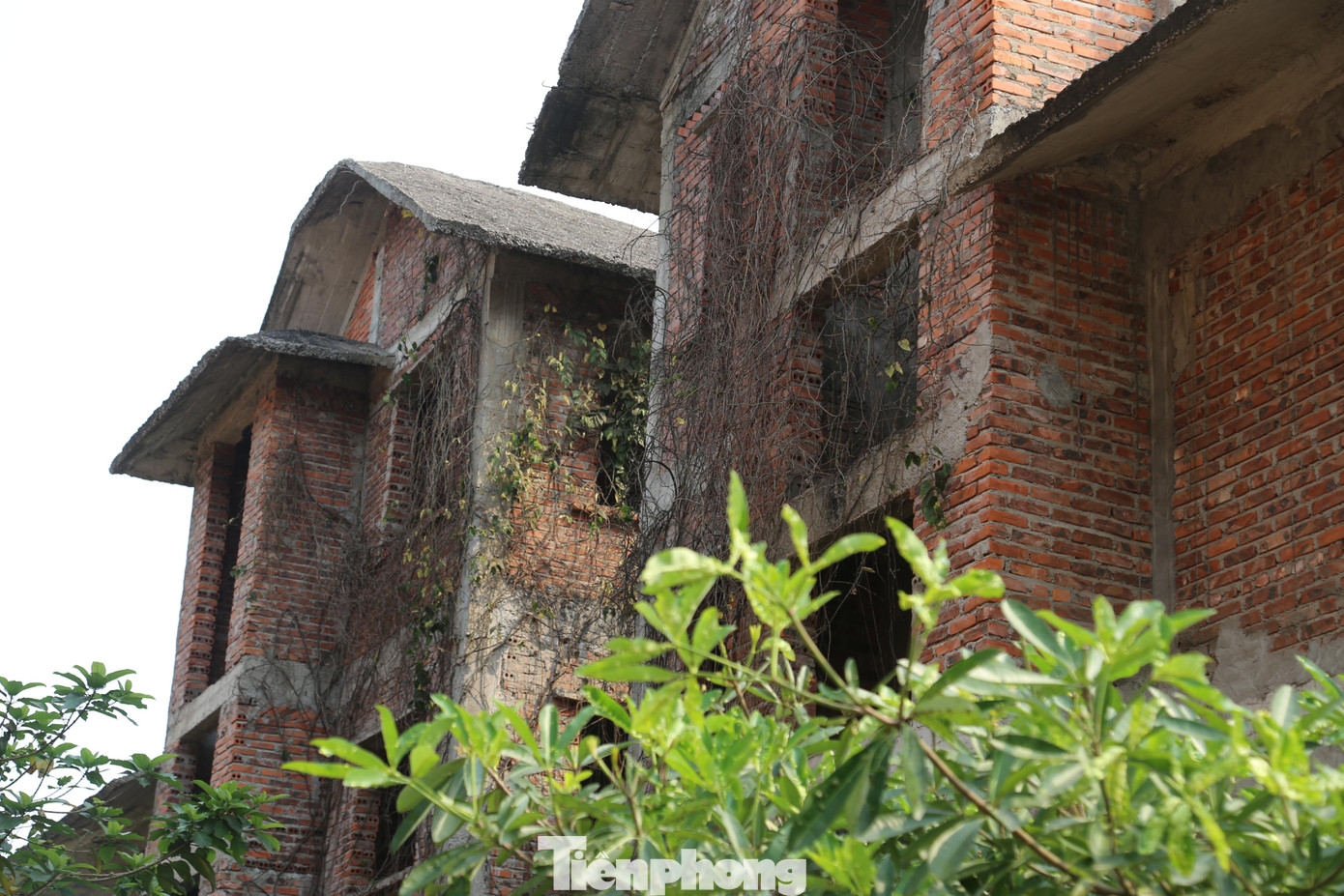 Dự án nằm ở vị trí được xem như "đất vàng" với 4 mặt tiền giáp đường, cách bãi biển chỉ hơn 100m.