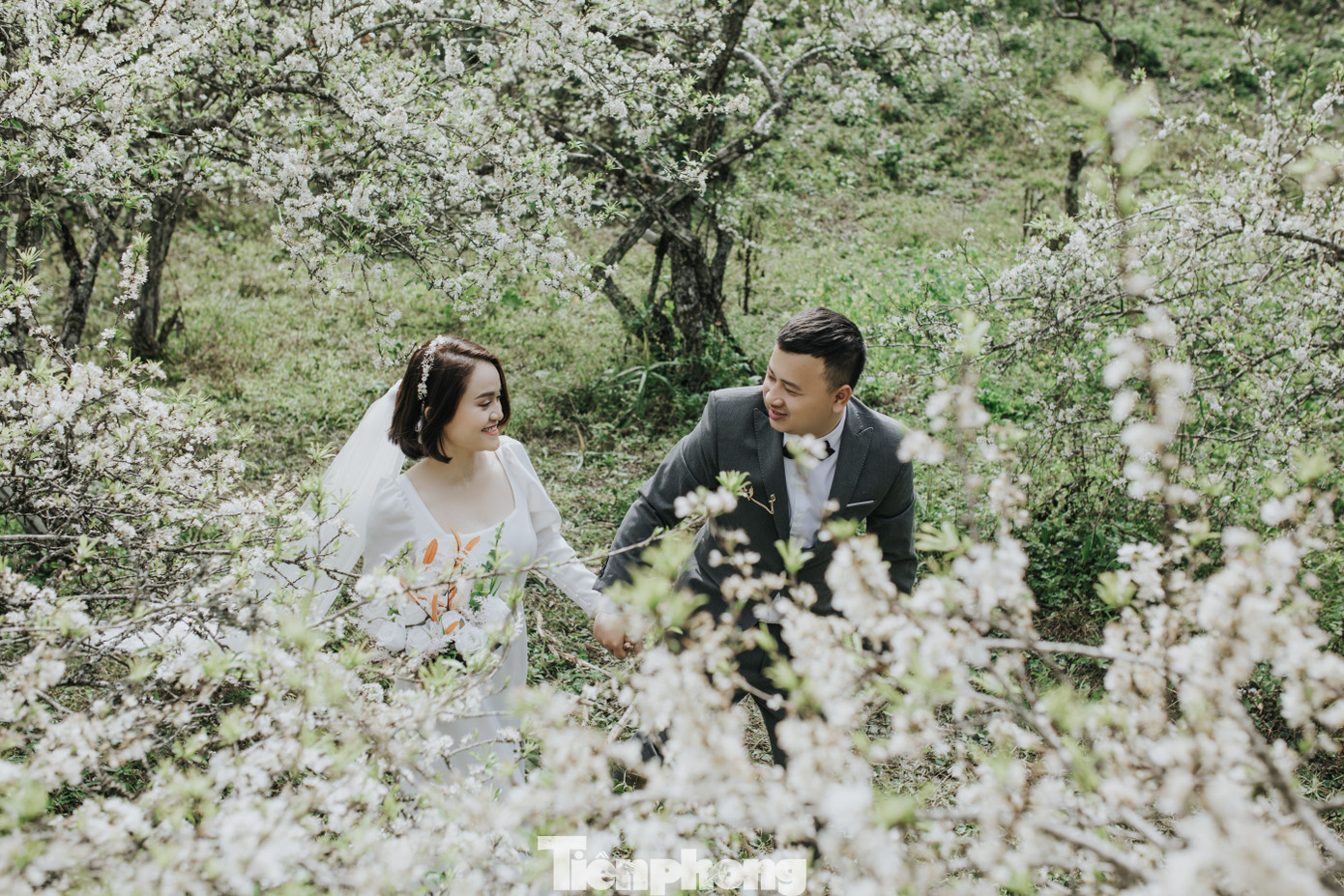 Mùa hoa mận nở cũng là mùa du khách đến với vùng rẻo cao Kỳ Sơn. Nhiều cặp đôi chọn nơi đây để chụp ảnh cưới, lưu giữ khoảnh khắc đẹp.