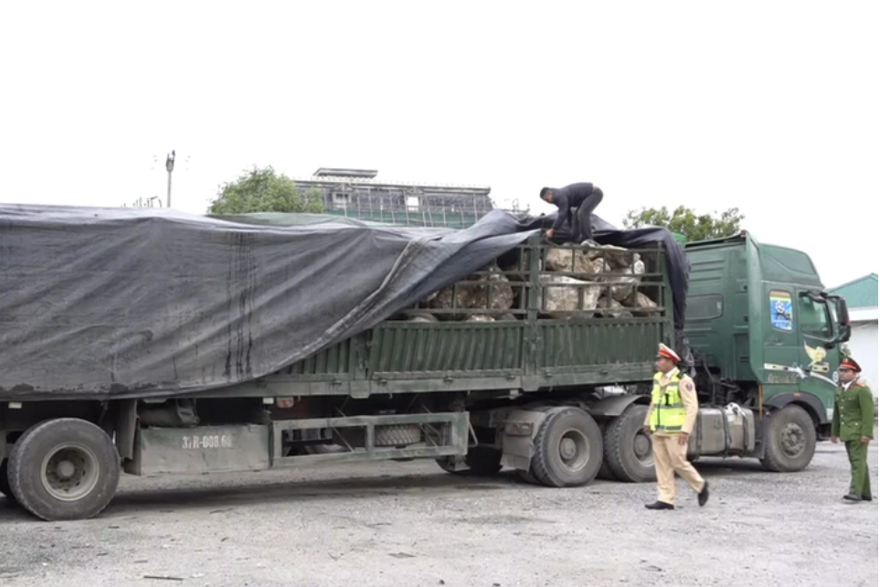 Chiếc xe đầu kéo chở đá thạch anh trái phép bị bắt giữ.