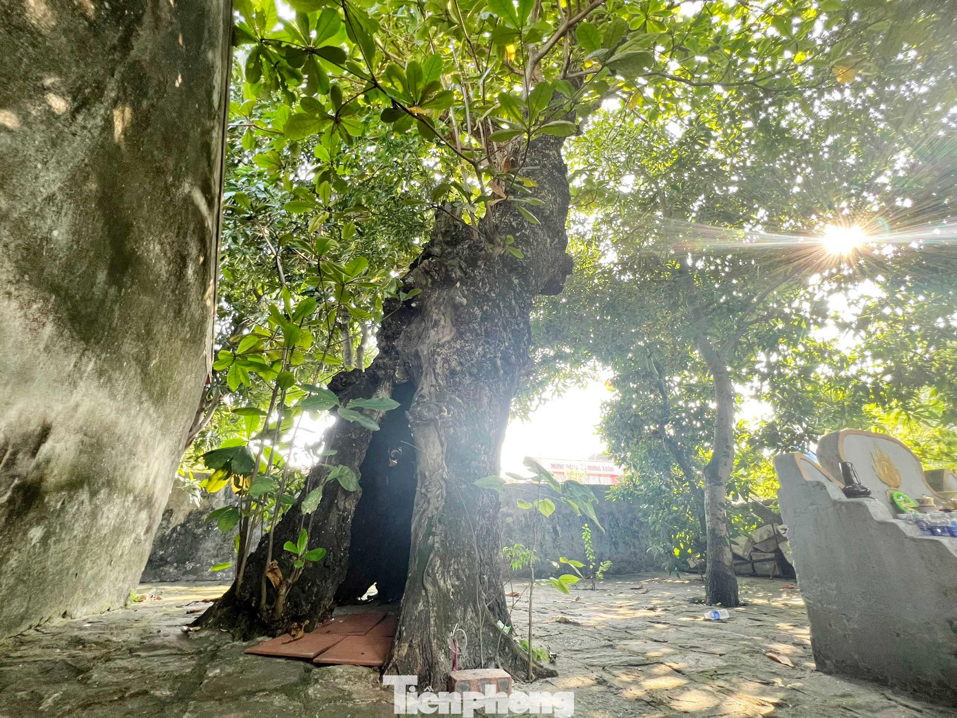 Năm 1991, Đền Vạn Lộc được công nhận là Di tích Lịch sử cấp Quốc gia. Du khách đến chiêm bái không khỏi ngạc nhiên khi ở phía sau đền có một cây bàng cổ thụ mặc dù đã rỗng ruột nhưng vẫn vô cùng xanh tươi.