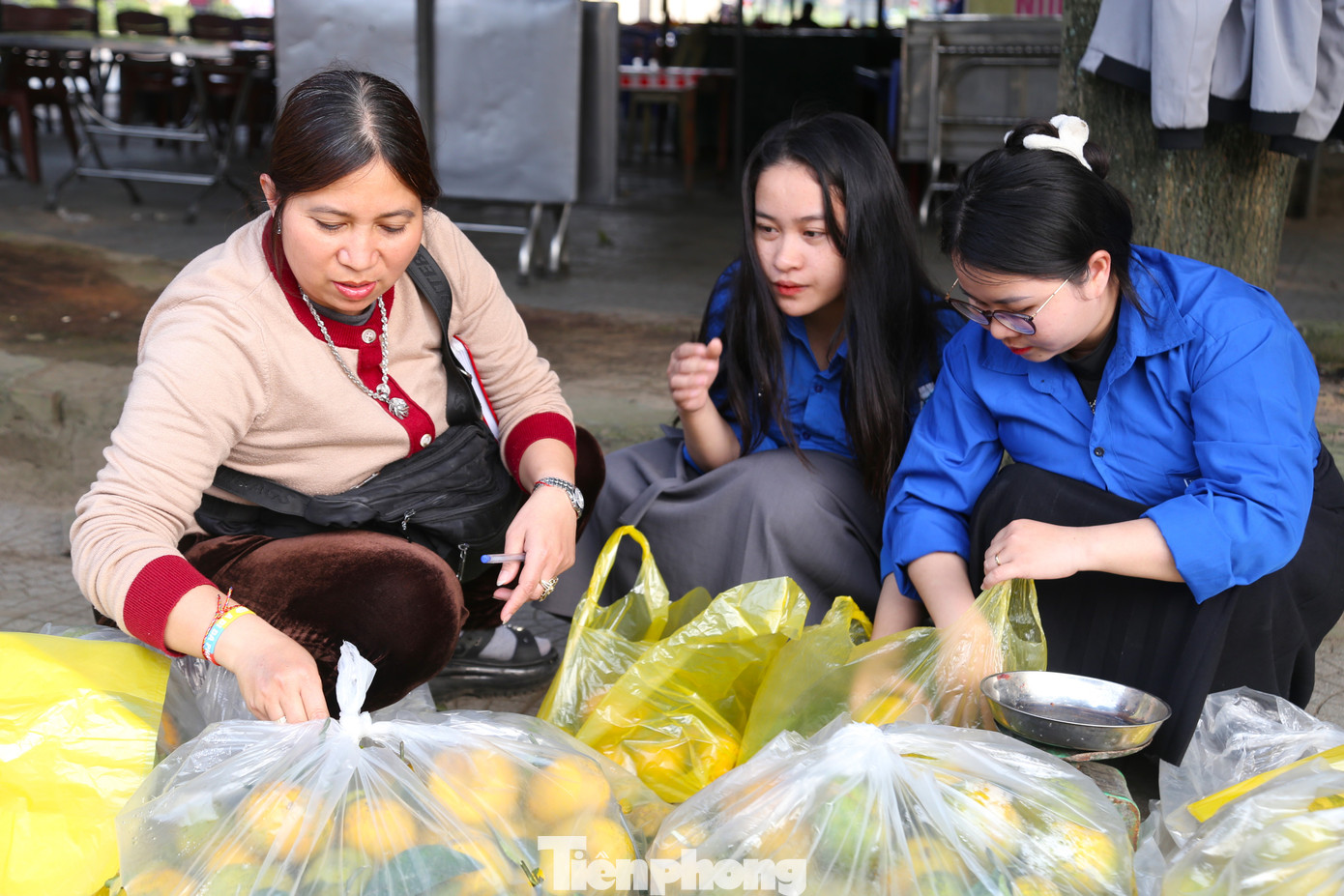 Ngoài các đơn hàng đặt mua online, nhiều người dân cũng đến mua trực tiếp tại chợ với giá bán là 12.000 đồng/kg.