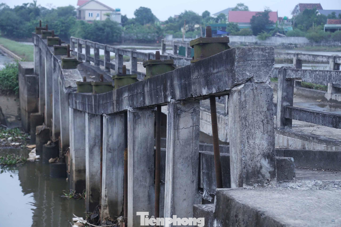 Do 2 cây cầu bị hư hỏng nên nước mặn đã xâm nhập vào khoảng 60ha đất sản xuất. Chính quyền và nhân dân đang rất lo lắng vì nếu không có phương án khắc phục sớm thì những diện tích đất này buộc phải bỏ hoang các vụ tới vì không thể gieo trồng được. Do 2 cây cầu bị hư hỏng nên nước mặn đã xâm nhập vào khoảng 60ha đất sản xuất. Chính quyền và nhân dân đang rất lo lắng vì nếu không có phương án khắc phục sớm thì những diện tích đất này buộc phải bỏ hoang các vụ tới vì không thể gieo trồng được.