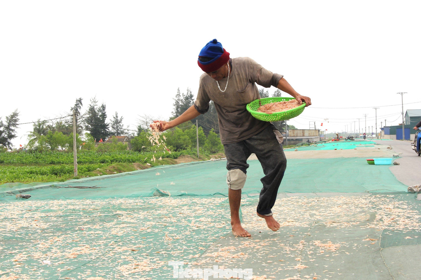 Tranh thủ trời nắng ráo, ngư dân phơi khô ruốc để bán cho được giá. Tranh thủ trời nắng ráo, ngư dân phơi khô ruốc để bán cho được giá.