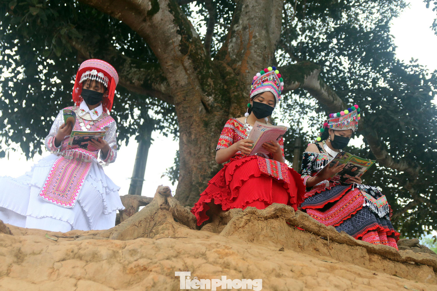 Học sinh trường PTCS Nậm Càn ngồi dưới gốc cây đọc sách