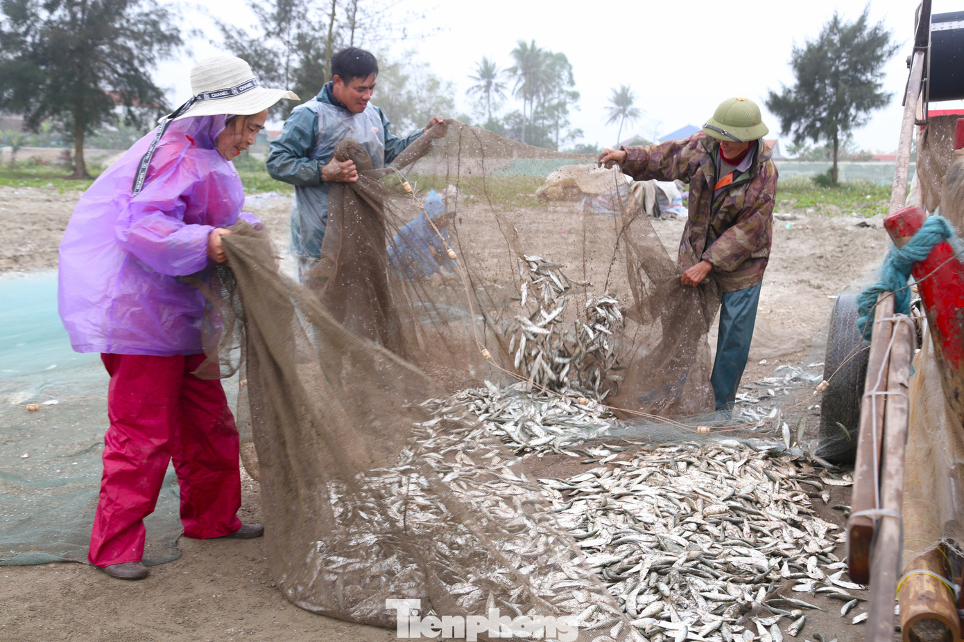 Trở về sau chuyến ra khơi với tấm lưới nặng trĩu cá trích, ngư dân Nguyễn Phúc Linh (SN 1959, trú xã Diễn Kim) cho hay: “Chuyến này tôi được 5 tạ cá trích tươi. Số cá này sau khi được gỡ xong sẽ được thương lái thu mua tại chỗ. Với giá bán 20.000 đồng/kg, sau khi trừ chi phí, thu 3 - 4 triệu đồng”. Trở về sau chuyến ra khơi với tấm lưới nặng trĩu cá trích, ngư dân Nguyễn Phúc Linh (SN 1959, trú xã Diễn Kim) cho hay: “Chuyến này tôi được 5 tạ cá trích tươi. Số cá này sau khi được gỡ xong sẽ được thương lái thu mua tại chỗ. Với giá bán 20.000 đồng/kg, sau khi trừ chi phí, thu 3 - 4 triệu đồng”.