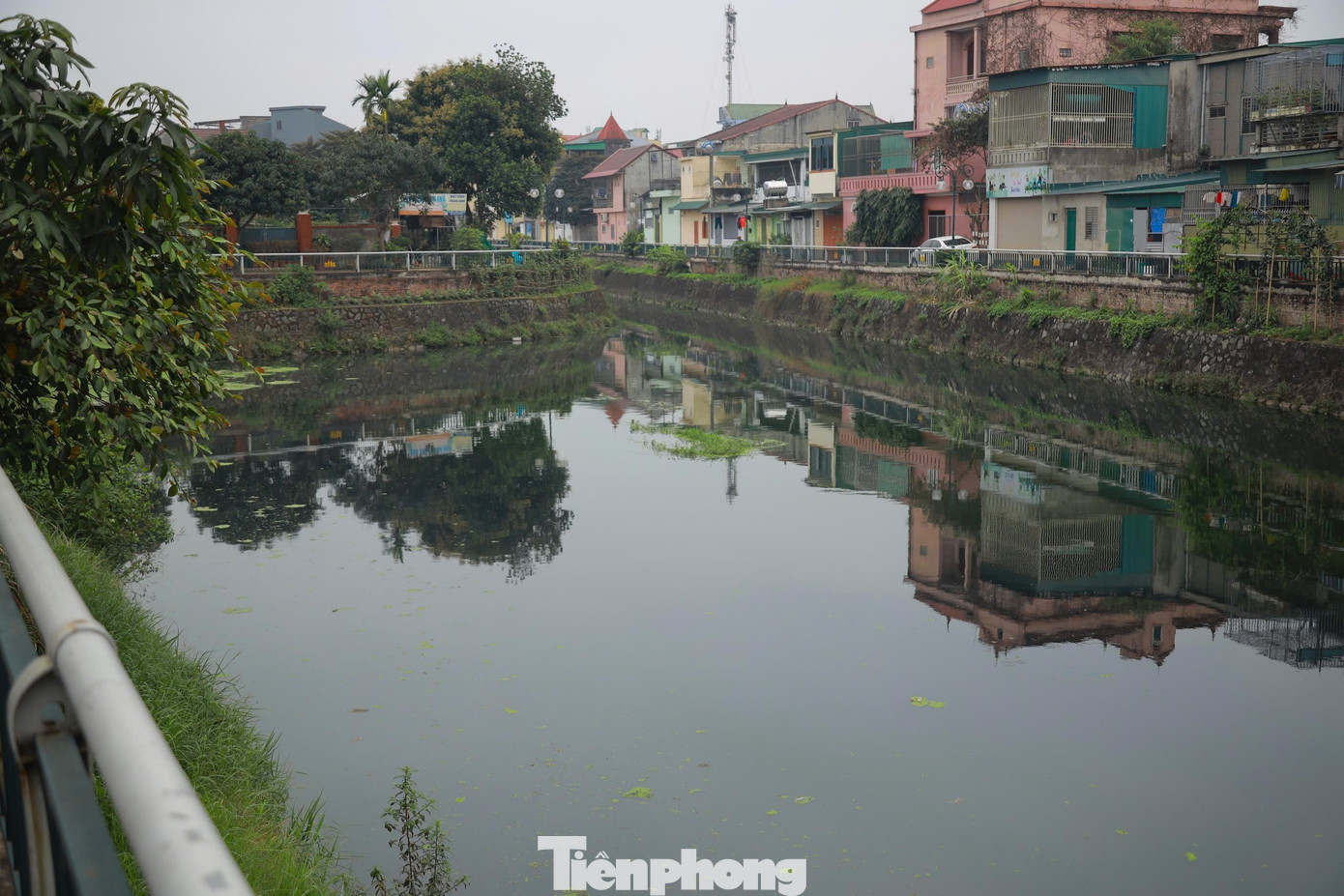 Dòng nước đen ngòm