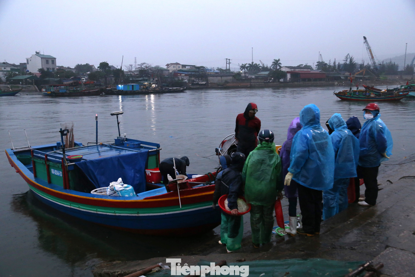 Nguồn cá được chủ lò chọn tại bến khi tàu cập bờ mỗi sáng.