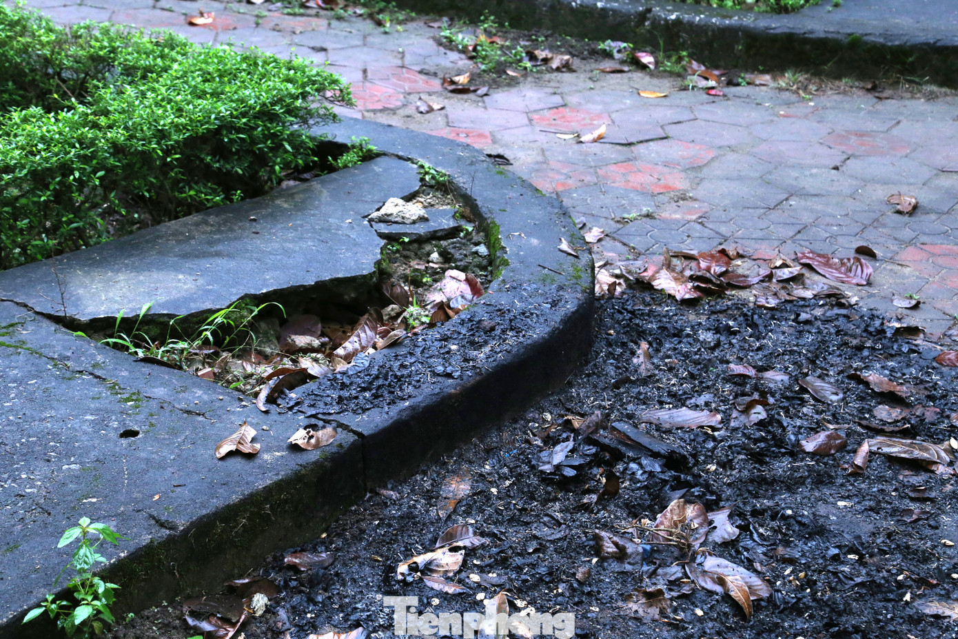 Tại một số điểm, rác được đốt tại chỗ chứ không vận chuyển đi xử lý.