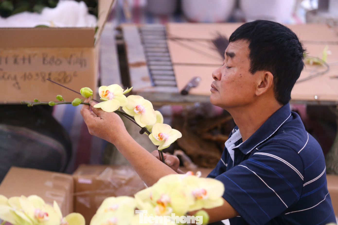 Kinh nghiệm hơn 10 năm kết lan, ông Trần Văn Sang được đánh giá là thợ giỏi, có trách nhiệm và giàu sáng tạo. “Việc cắm hoa đòi hỏi người thợ phải khéo léo, tỉ mỉ. Không đơn giản là lần lượt xếp từng bầu lan lên bình mà người thợ phải phác thảo trong đầu bố cục, hình khối bình hoa, để đảm bảo tính thẩm mỹ, tính nghệ thuật cao, khoe được vẻ đẹp từng bông hoa lan”, ông Sang cho hay. Kinh nghiệm hơn 10 năm kết lan, ông Trần Văn Sang được đánh giá là thợ giỏi, có trách nhiệm và giàu sáng tạo. “Việc cắm hoa đòi hỏi người thợ phải khéo léo, tỉ mỉ. Không đơn giản là lần lượt xếp từng bầu lan lên bình mà người thợ phải phác thảo trong đầu bố cục, hình khối bình hoa, để đảm bảo tính thẩm mỹ, tính nghệ thuật cao, khoe được vẻ đẹp từng bông hoa lan”, ông Sang cho hay.