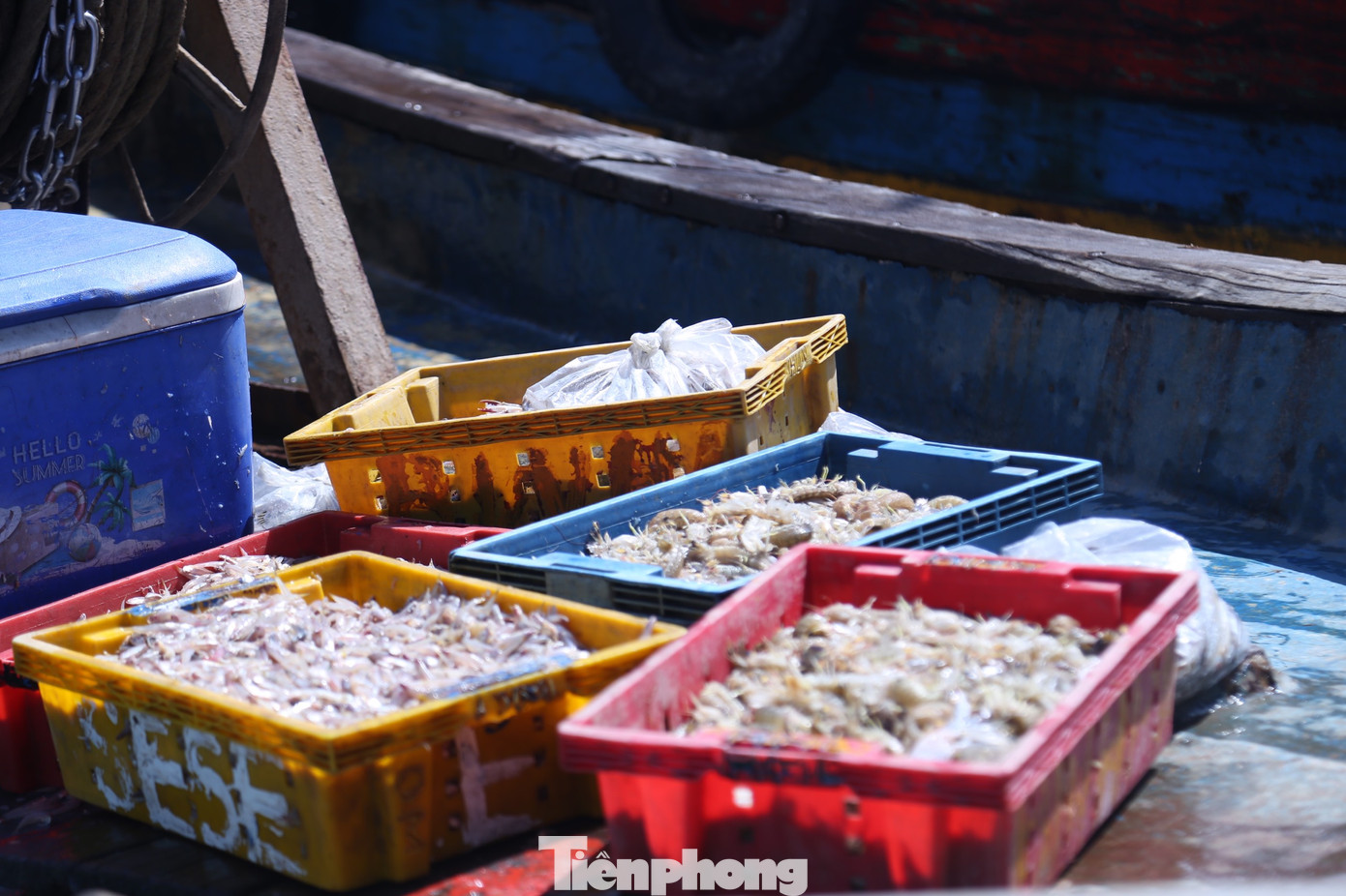 Với ngư dân ven biển, ra khơi những ngày đầu năm không chỉ đem lại kinh tế mà họ còn cầu mong một năm mưa thuận gió hòa, tôm cá đầy khoang. Với ngư dân ven biển, ra khơi những ngày đầu năm không chỉ đem lại kinh tế mà họ còn cầu mong một năm mưa thuận gió hòa, tôm cá đầy khoang.