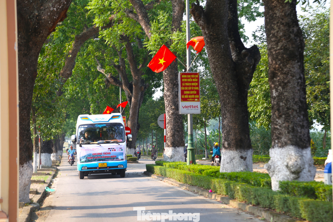 Ngoài tuyến đường chính, trên địa bàn xã Kim Liên còn nhiều hàng cây xà cừ cổ thụ khác có tuổi đời trên 50 năm. Ngoài ra, bên trong Khu di tích lịch sử quốc gia đặc biệt Kim Liên cũng có rất nhiều cây xà cừ cổ thụ.