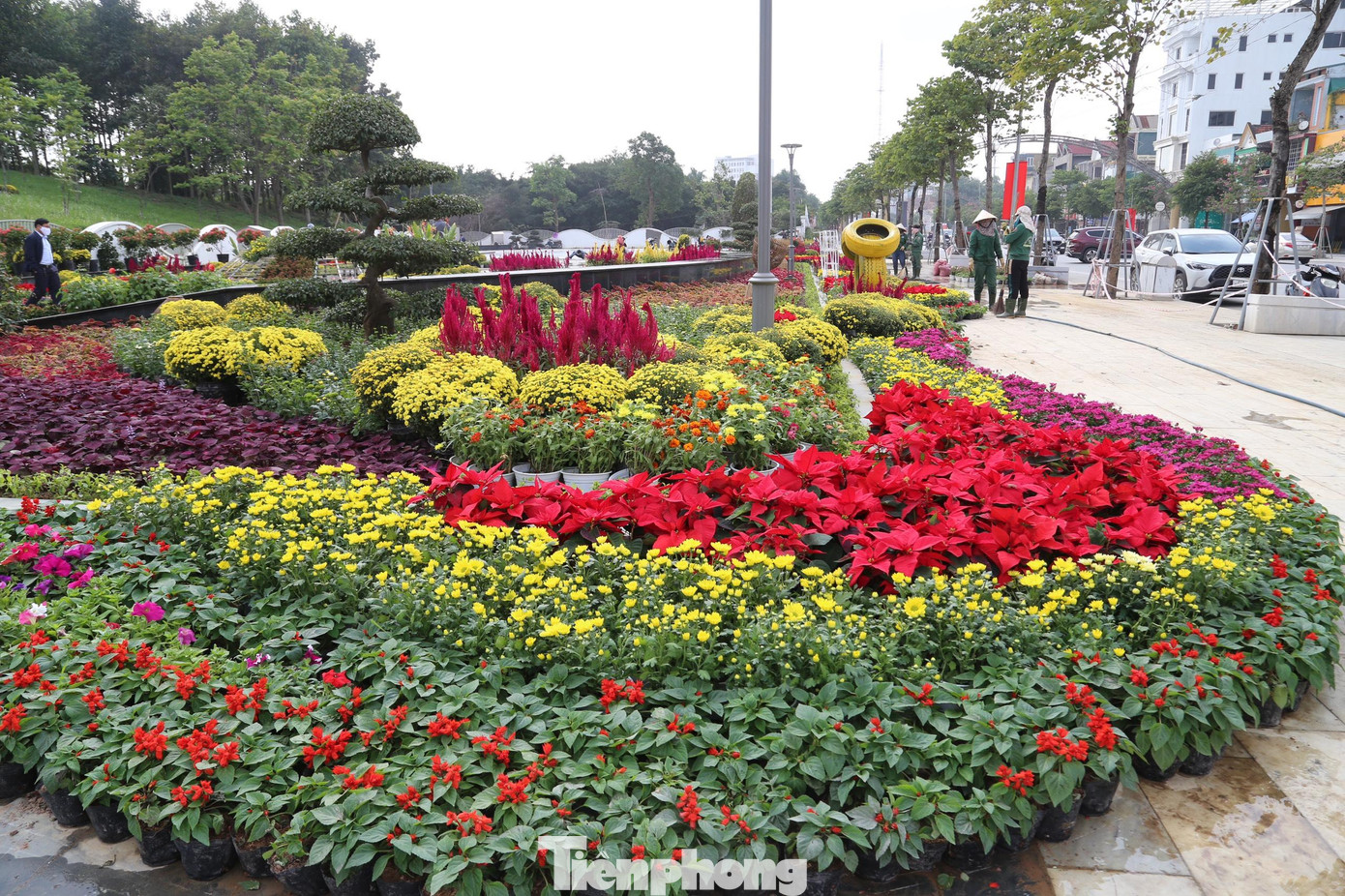 Những ngày này, trên tuyến đường Hồ Tùng Mậu (TP Vinh, Nghệ An), công nhân Công ty cổ phần Công viên cây xanh TP Vinh đang tất bật hoàn thành nốt những “tác phẩm nghệ thuật” tại con đường hoa để phục vụ dịp Tết.