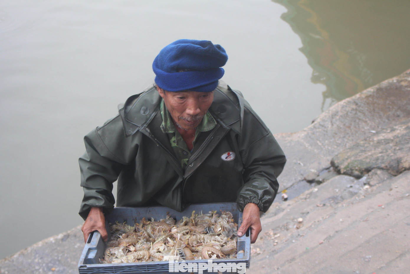 Bội thu ngày đầu năm mới là những tín hiệu tích cực đối với bà con sau những khó khăn do dịch bệnh COVID-19 suốt một năm vừa qua. Bà con ngư dân mong ước sẽ có một năm mới thắng lợi, tàu về đầy ắp tôm cá như những chuyến biển đầu năm này.