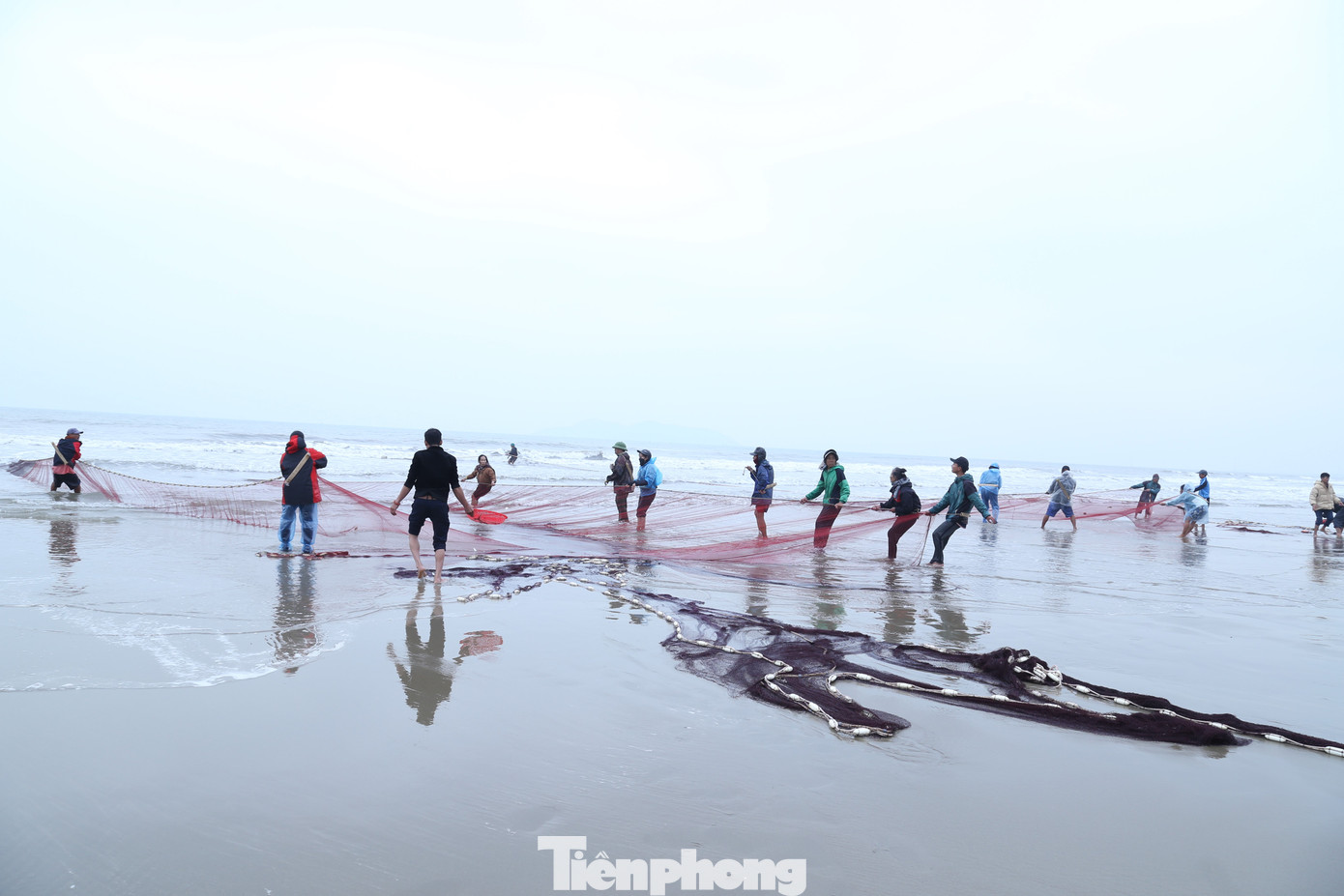 Nhóm ngư dân chia làm hai đội cứ thế ‘đi giật lùi’ đến khi nào hai bên kéo thu về một mối thì mẻ rồng đã xong. Thời gian cho mỗi mẻ hoàn thành trong khoảng 3 giờ. Nhóm ngư dân chia làm hai đội cứ thế ‘đi giật lùi’ đến khi nào hai bên kéo thu về một mối thì mẻ rồng đã xong. Thời gian cho mỗi mẻ hoàn thành trong khoảng 3 giờ.