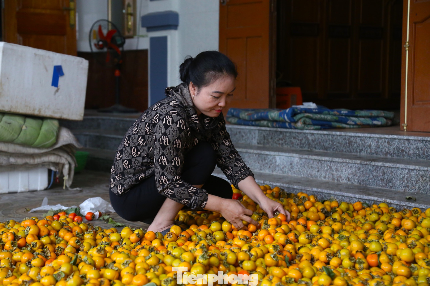Chị Nguyễn Thị Sâm (một thương lái thu mua hồng ở xã Nam Anh) cho biết, mùa thu hoạch hồng thường bắt đầu từ tháng 7 đến giữa tháng 10 âm lịch. Trung bình, mỗi ngày chị thu mua hơn 2 tấn hồng các loại. Sau khi mua về, quả hồng sẽ được phân loại, đem ủ hoặc ngâm với nước giếng khoang trong 5 ngày rồi mới được bán ra thị trường. Chị Nguyễn Thị Sâm (một thương lái thu mua hồng ở xã Nam Anh) cho biết, mùa thu hoạch hồng thường bắt đầu từ tháng 7 đến giữa tháng 10 âm lịch. Trung bình, mỗi ngày chị thu mua hơn 2 tấn hồng các loại. Sau khi mua về, quả hồng sẽ được phân loại, đem ủ hoặc ngâm với nước giếng khoang trong 5 ngày rồi mới được bán ra thị trường.
