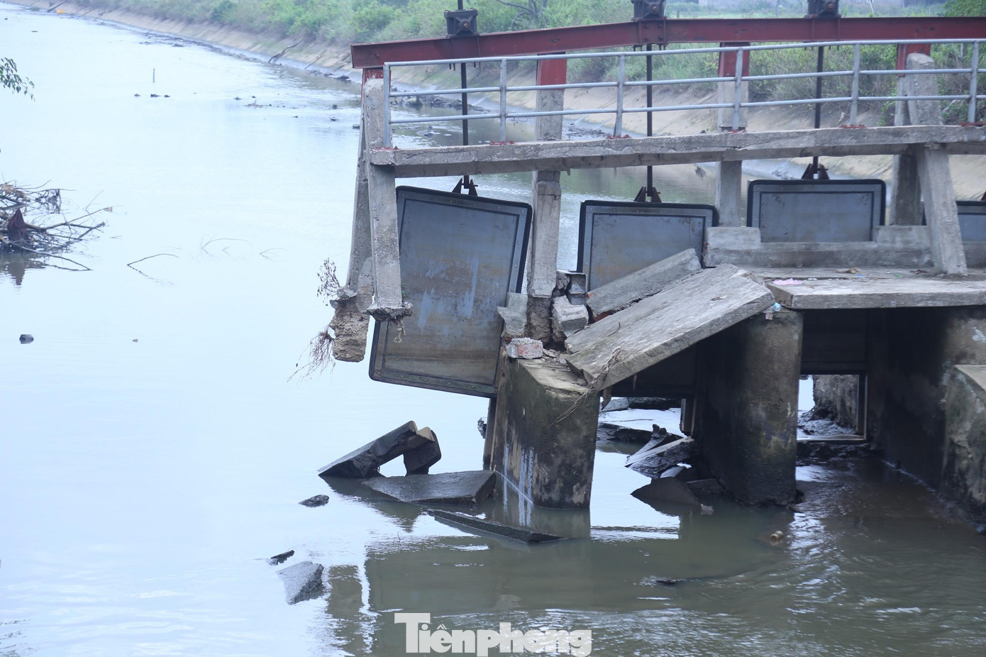 Ông Trần Nguyên Hòa - Trưởng phòng Nông nghiệp huyện Nghi Lộc cho biết: “Hai cầu ngăn mặn này rất quan trọng trong việc điều tiết lũ, đặc biệt là ngăn nước mặn để phục vụ sản xuất nông nghiệp. Trước mắt, chính quyền địa phương đã khuyến cáo người dân tạm thời không trồng lúa, hoa màu để chờ sửa chữa cầu. Nếu không thể xây lại 2 cây cầu này thì đành phải bỏ đất hoang vì không thể canh tác, cũng không có biện pháp xử lý nước mặn”. Ông Trần Nguyên Hòa - Trưởng phòng Nông nghiệp huyện Nghi Lộc cho biết: “Hai cầu ngăn mặn này rất quan trọng trong việc điều tiết lũ, đặc biệt là ngăn nước mặn để phục vụ sản xuất nông nghiệp. Trước mắt, chính quyền địa phương đã khuyến cáo người dân tạm thời không trồng lúa, hoa màu để chờ sửa chữa cầu. Nếu không thể xây lại 2 cây cầu này thì đành phải bỏ đất hoang vì không thể canh tác, cũng không có biện pháp xử lý nước mặn”.
