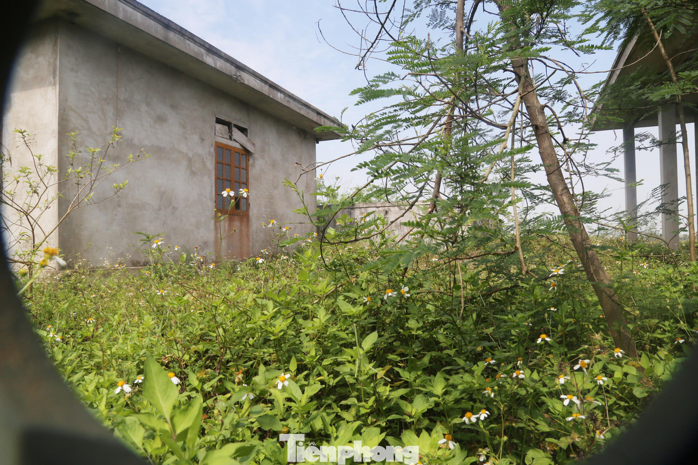 Ông Tăng Ngọc Quý - Chủ tịch UBND xã Diễn Quảng cho biết, công trình này được ngân sách trung ương tài trợ 60%, địa phương 40%. Hiện tiền vốn từ trung ương đã được cấp đủ, song 40% còn lại huy động từ người dân lại gặp khó khăn.