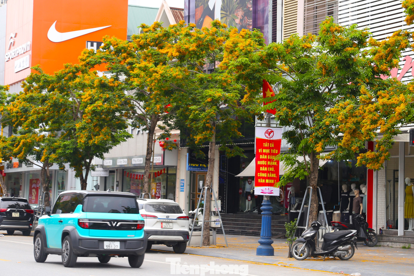 Trong những năm qua, thành phố Vinh đã đầu tư hàng nghìn tỷ đồng để triển khai nhiều dự án chỉnh trang đô thị. Song song với nâng cấp, mở rộng các tuyến đường, thay thế hệ thống thoát nước, hạ ngầm điện chiếu sáng và cáp quang… hệ thống cây xanh cũng được thay thế đồng bộ.